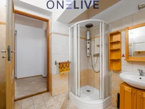 Prodej rodinného domu, Starý Plzenec, Vrchlického, 112 m2