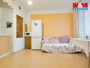 Prodej bytu 1+1, Děčín - Děčín III-Staré Město, Jezdecká, 36 m2