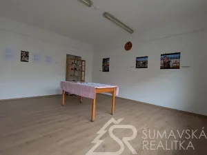 Prodej obchodního prostoru, Žihobce, 330 m2