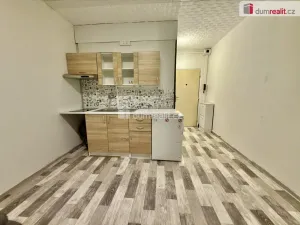 Prodej bytu 1+1, Ústí nad Labem - Střekov, Jeseninova, 36 m2