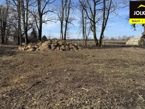 Prodej rodinného domu, Pilszcz, Polsko, 300 m2