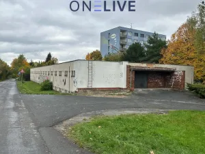 Pronájem garáže, Plzeň, Čermákova, 20 m2