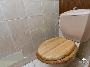 Prodej bytu 3+1, Plzeň - Východní Předměstí, U Prazdroje, 68 m2