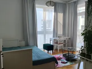 Pronájem bytu 1+kk, Praha - Vinohrady, Záhřebská, 30 m2