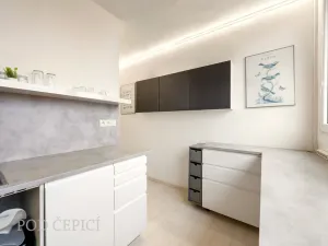 Prodej bytu 3+1, Brno - Lesná, Ježkova, 79 m2