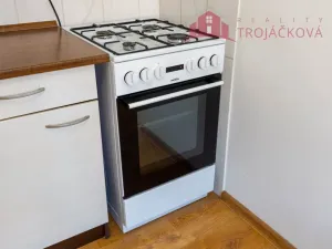 Prodej bytu 1+1, Ostrava - Mariánské Hory, 28. října, 48 m2