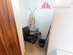 Prodej bytu 1+1, Ostrava - Mariánské Hory, 28. října, 48 m2