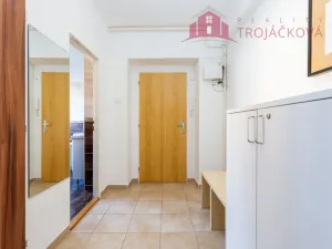 Prodej bytu 1+1, Ostrava - Mariánské Hory, 28. října, 48 m2