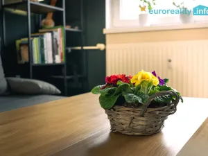 Prodej bytu 2+kk, Strakonice, U Zahrádek, 46 m2