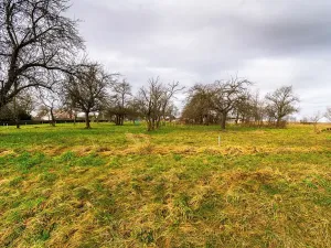 Prodej pozemku pro bydlení, Stádlec, 4550 m2