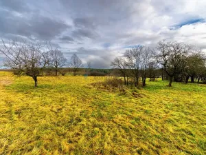 Prodej pozemku pro bydlení, Stádlec, 4550 m2