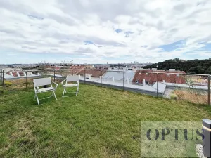 Pronájem bytu 5+kk, Praha - Smíchov, Holečkova, 212 m2