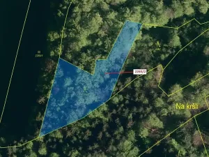 Dražba lesa, Zděchov, 2225 m2