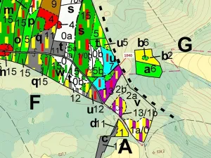 Dražba lesa, Hradiště, 6519 m2