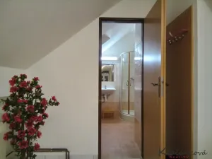 Pronájem bytu 1+kk, Babice, 29 m2