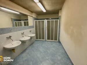 Prodej výrobních prostor, Zlín, U Stadionu, 740 m2