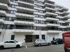 Pronájem bytu 1+kk, Praha - Třebonice, Thomasova, 29 m2