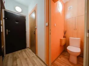 Prodej bytu 2+kk, Brno, Svážná, 47 m2