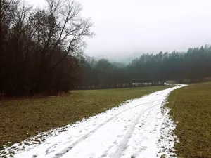 Prodej pozemku pro bydlení, Bohutín, 2926 m2