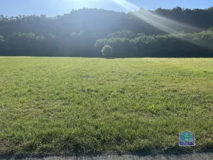 Prodej louky, Plzeň - Božkov, 2000 m2