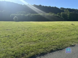 Prodej louky, Plzeň - Božkov, 2000 m2