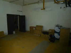 Pronájem skladu, Frýdlant nad Ostravicí, 120 m2