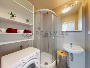 Prodej bytu 1+1, České Budějovice, K. Šafáře, 43 m2