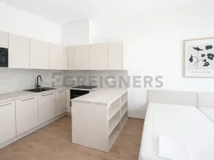 Pronájem bytu 1+kk, Brno, Spolková, 38 m2