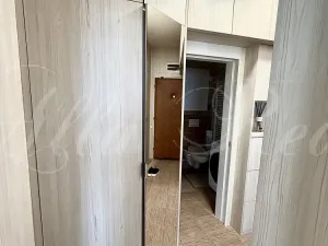 Pronájem bytu 2+kk, Brno - Veveří, Kounicova, 45 m2