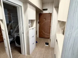 Pronájem bytu 2+kk, Brno - Veveří, Kounicova, 45 m2