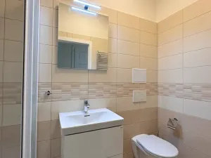 Pronájem bytu 1+1, Brno, Lidická, 40 m2