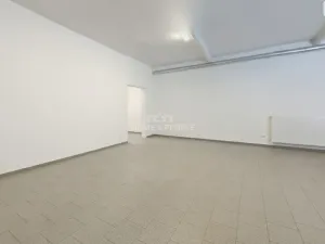 Pronájem skladu, Brno - Dolní Heršpice, Vídeňská, 170 m2