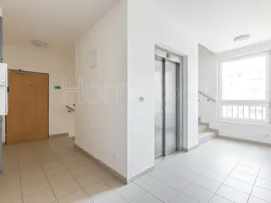 Pronájem bytu 2+kk, Praha, Bermanova, 51 m2