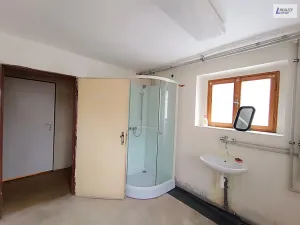 Prodej komerční nemovitosti, Nečín, 218 m2