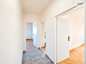 Prodej komerční nemovitosti, Nečín, 218 m2