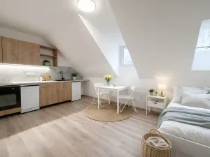 Pronájem bytu 1+kk, Praha - Nusle, Dačického, 22 m2