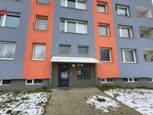 Pronájem bytu 2+1, Olomouc - Nová Ulice, Stiborova, 44 m2