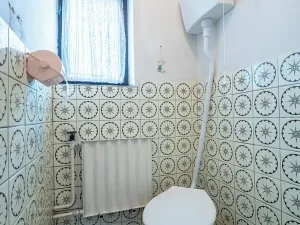 Prodej rodinného domu, Hodkovice nad Mohelkou, Mlýnská, 177 m2