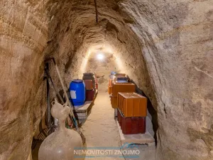 Prodej vinného sklepa, Dobšice, Leska, 25 m2