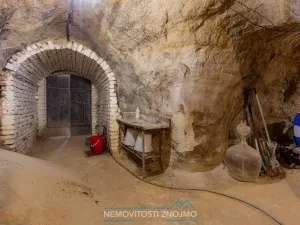 Prodej vinného sklepa, Dobšice, Leska, 25 m2