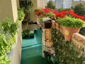 Prodej bytu 3+1, Most, Lipová, 74 m2