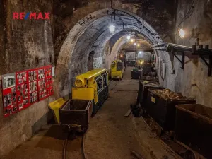 Prodej pozemku pro bydlení, Chrustenice, 1063 m2