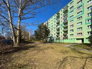 Prodej bytu 3+1, Plzeň - Severní Předměstí, Sokolovská, 76 m2