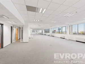 Pronájem kanceláře, Praha - Nusle, Doudlebská, 883 m2