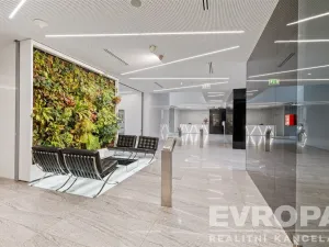 Pronájem kanceláře, Praha - Krč, Olbrachtova, 320 m2