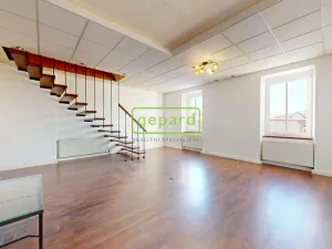 Prodej bytu 3+1, Ústí nad Labem - Ústí nad Labem-centrum, Králova výšina, 104 m2