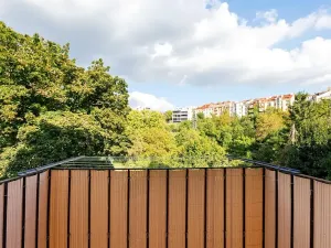 Prodej podílu vícegeneračního domu, Brno, Drobného, 242 m2