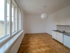 Pronájem bytu 1+kk, Praha - Nové Město, Biskupský dvůr, 25 m2