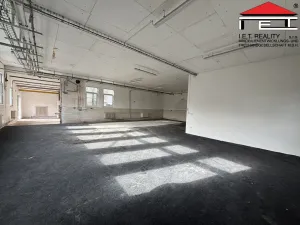 Pronájem výrobních prostor, Frýdek-Místek - Skalice, 260 m2
