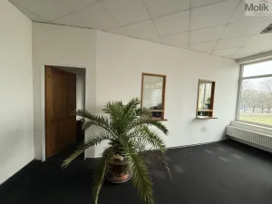 Pronájem obchodního prostoru, Most, Moskevská, 41 m2